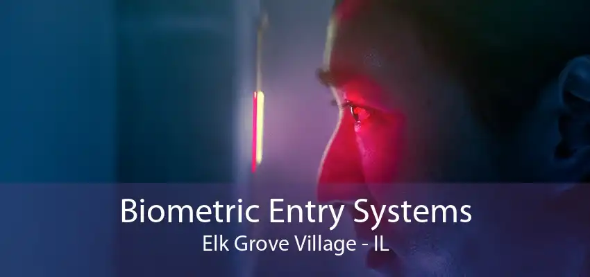 Biometric Entry Systems Elk Grove Village - IL