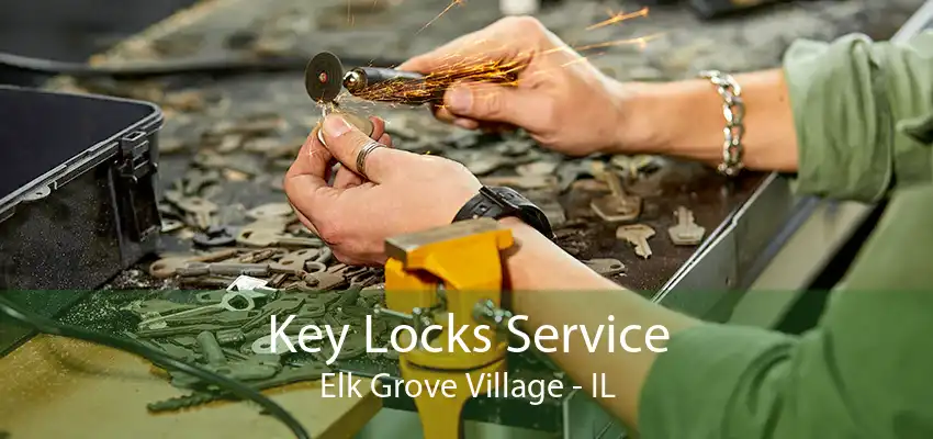 Key Locks Service Elk Grove Village - IL